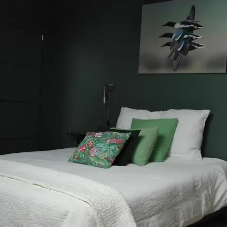 Le Lit De La Saane Bed & Breakfast