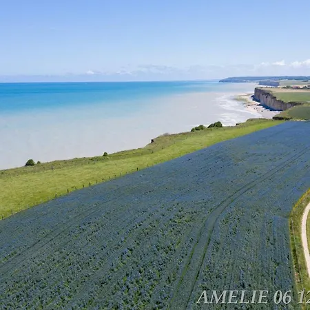 Le Lit De La Saâne Auzouville-sur-Saane