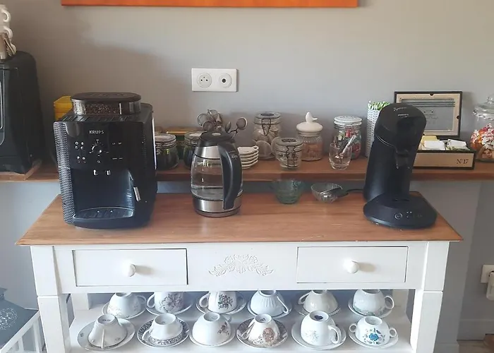 Le Lit De La Saane 3*